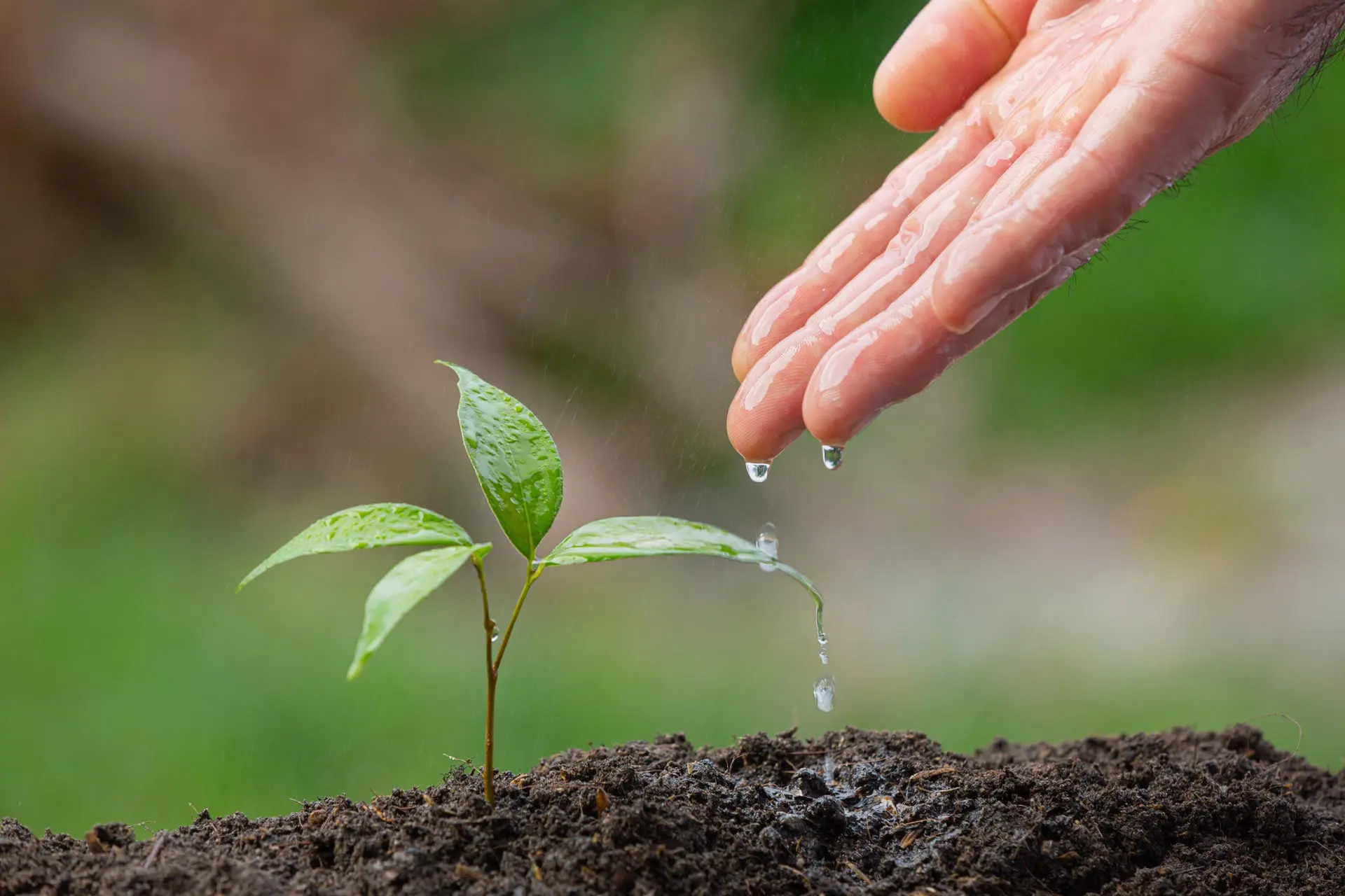 Farmtec Gerenciamento de Irrigação